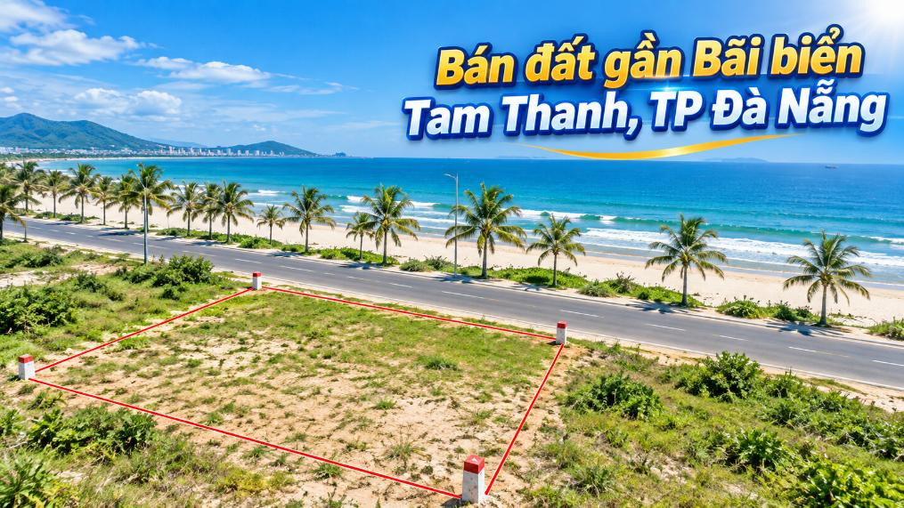 Đất Tam Hải gần biển Tam Thanh – Giữ một tọa độ giữa miền xanh
