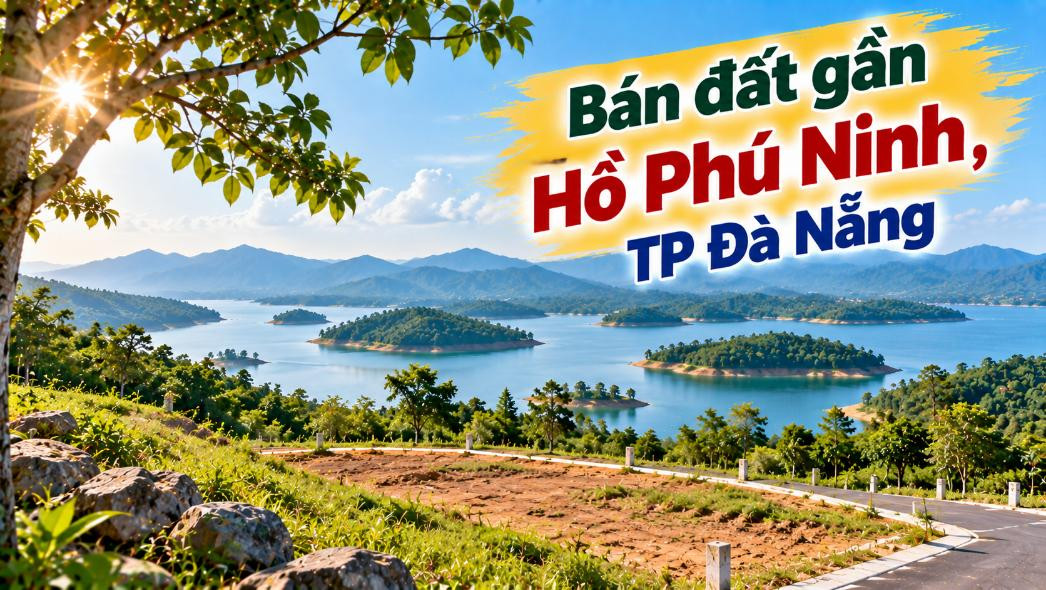Đất Tam Hải gần Hồ Phú Ninh – Mở khoảng xanh cho kế hoạch tương lai