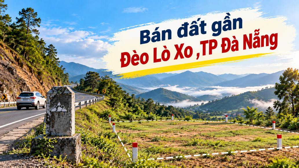 Gần Đèo Lò Xo có đất – Giữ một khoảng riêng giữa miền đại ngàn