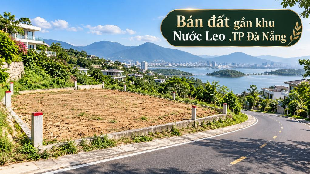 Gần Nước Leo có đất – Rộng đường cho dự định tương lai tại Phước Chánh