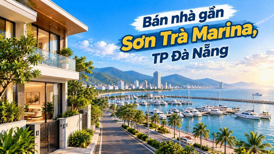 Nhà gần Sơn Trà Marina – Sống bên nhịp du thuyền và sắc biển Đà Nẵng