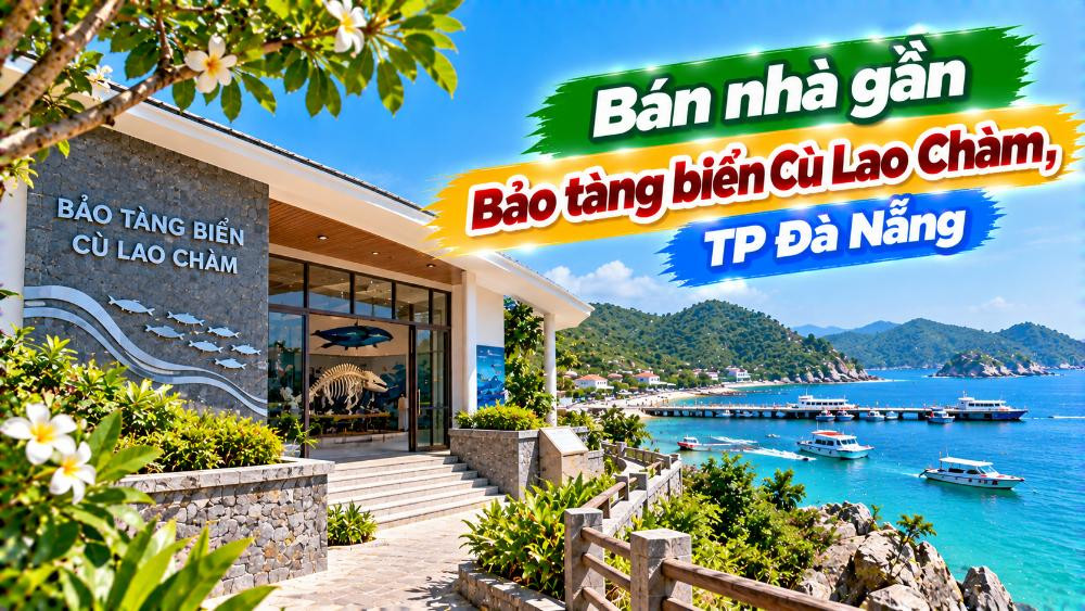 Ở giữa miền di sản – Nhà gần Bảo tàng biển Cù Lao Chàm
