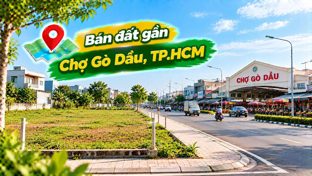 Từ Thái Mỹ về hướng Gò Dầu – Đất rộng cơ hội cho người tính đường dài