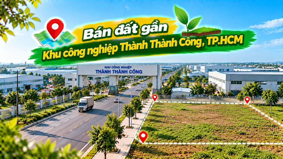 Về phía Thành Thành Công – Đất Thái Mỹ phù hợp cả ở lẫn dịch vụ